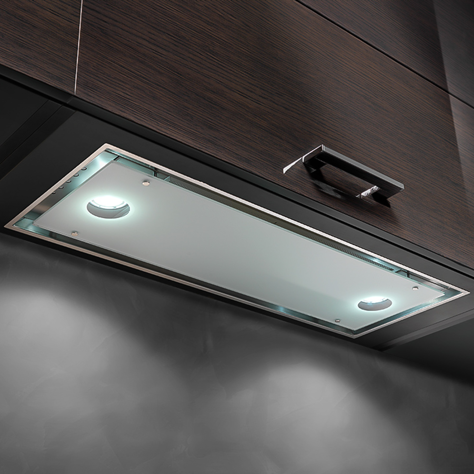24″ Raccolta Insert Range Hood WL24RACCOLTA