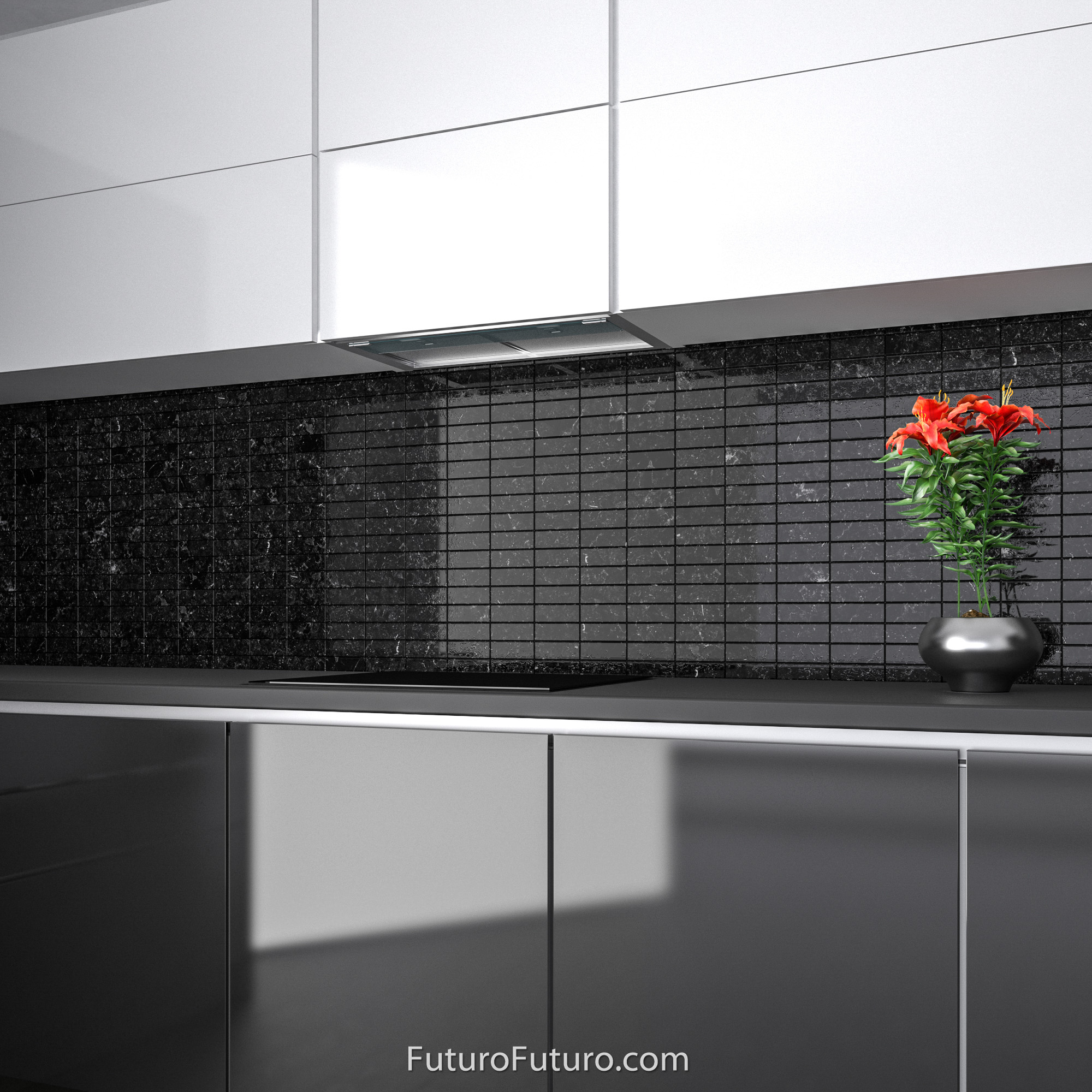 24″ Shade Insert Range Hood WL24SHADE