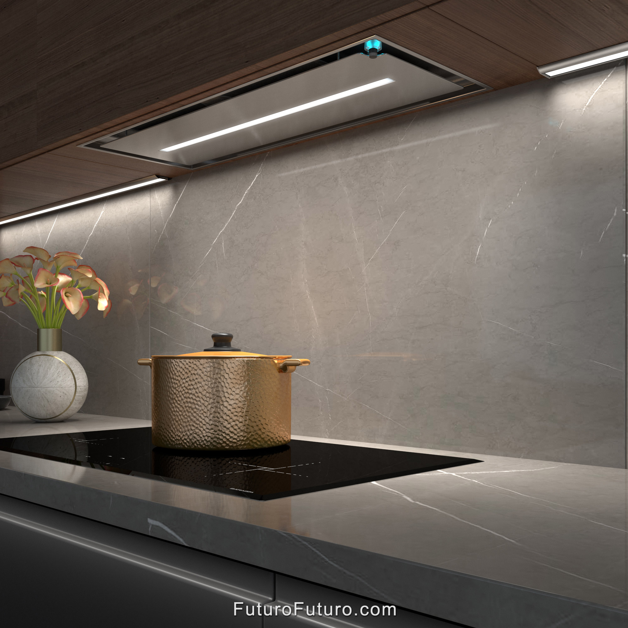 30″ Kelvin Inox Insert Range Hood WL30KELVININOX