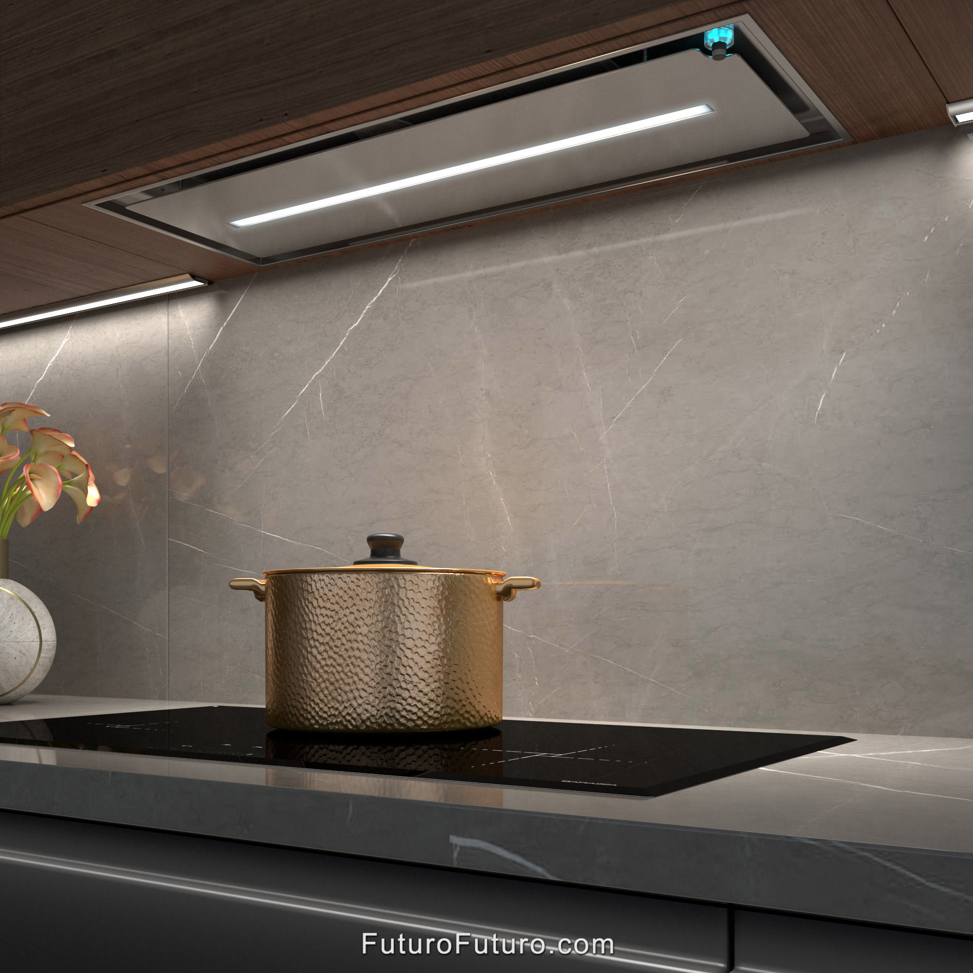 30″ Kelvin Inox Insert Range Hood WL30KELVININOX