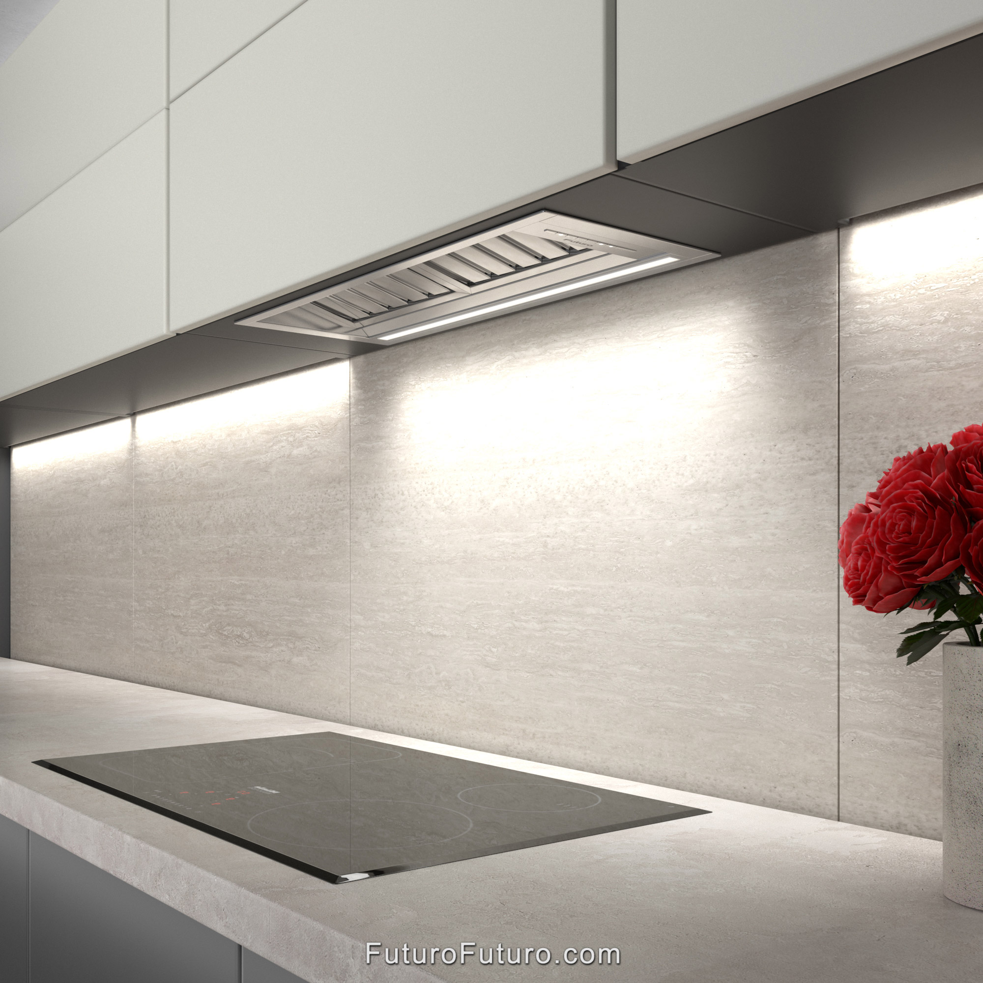 30″ Slide Insert Range Hood WL30SLIDE