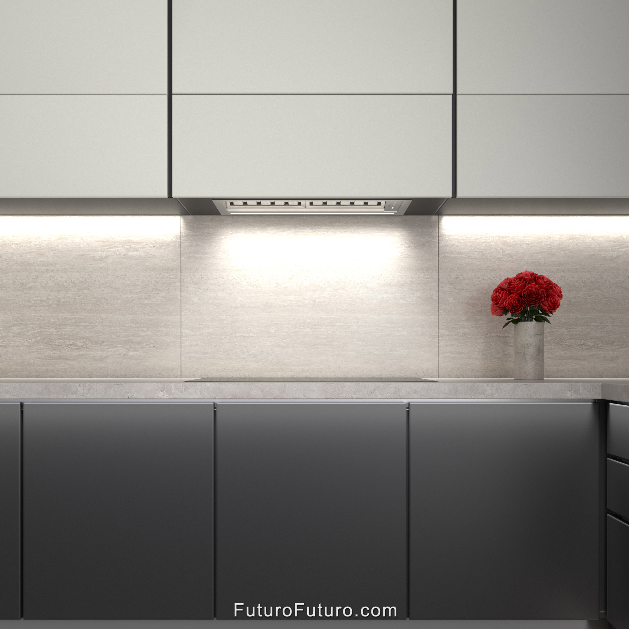 30″ Slide Insert Range Hood WL30SLIDE