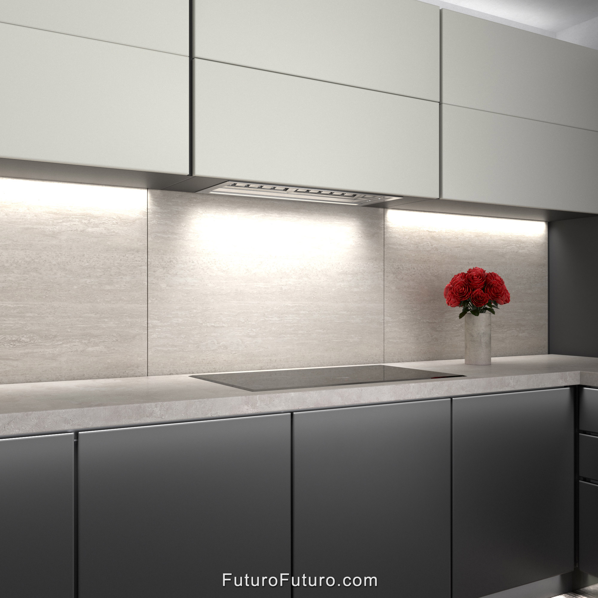 30″ Slide Insert Range Hood WL30SLIDE