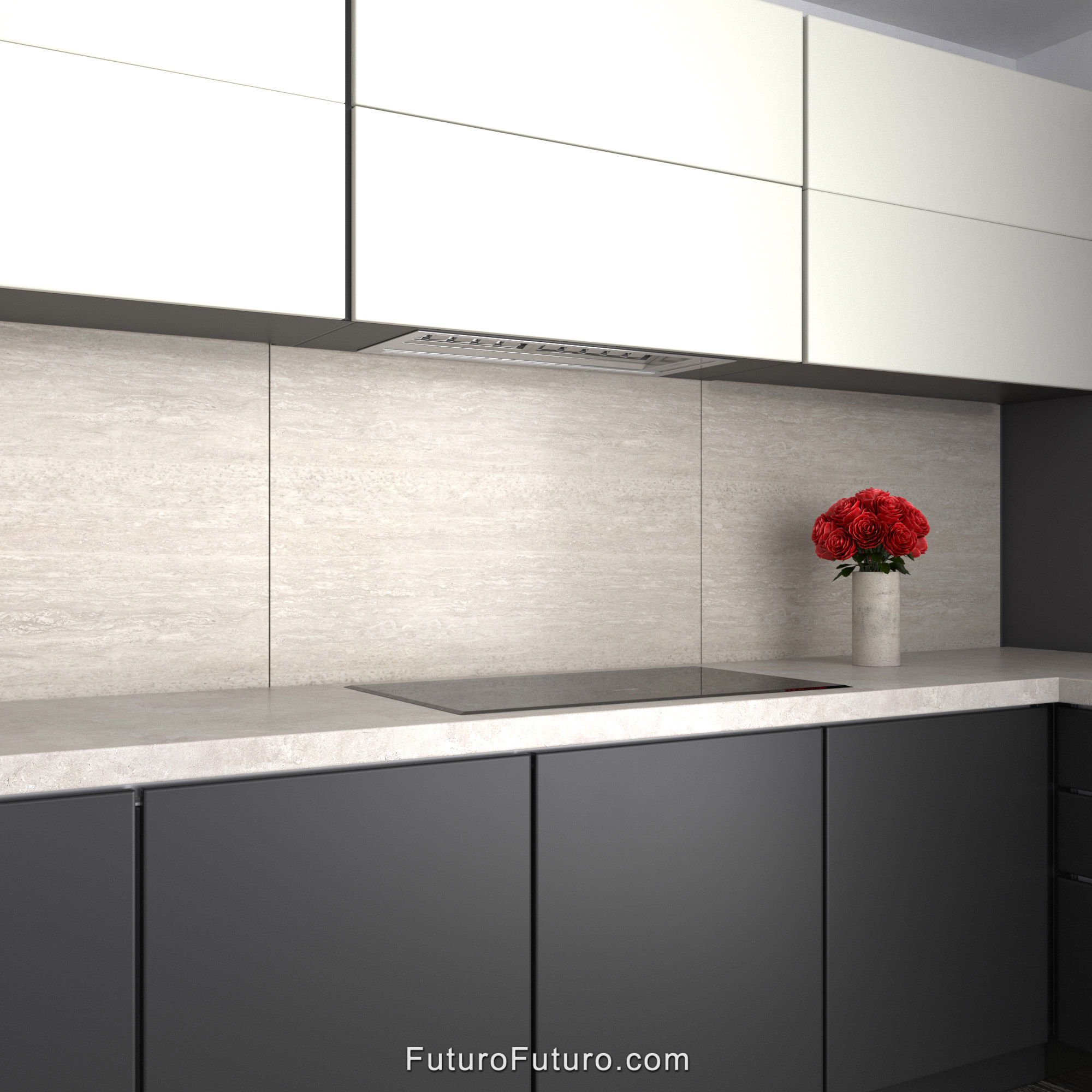 30″ Slide Insert Range Hood WL30SLIDE