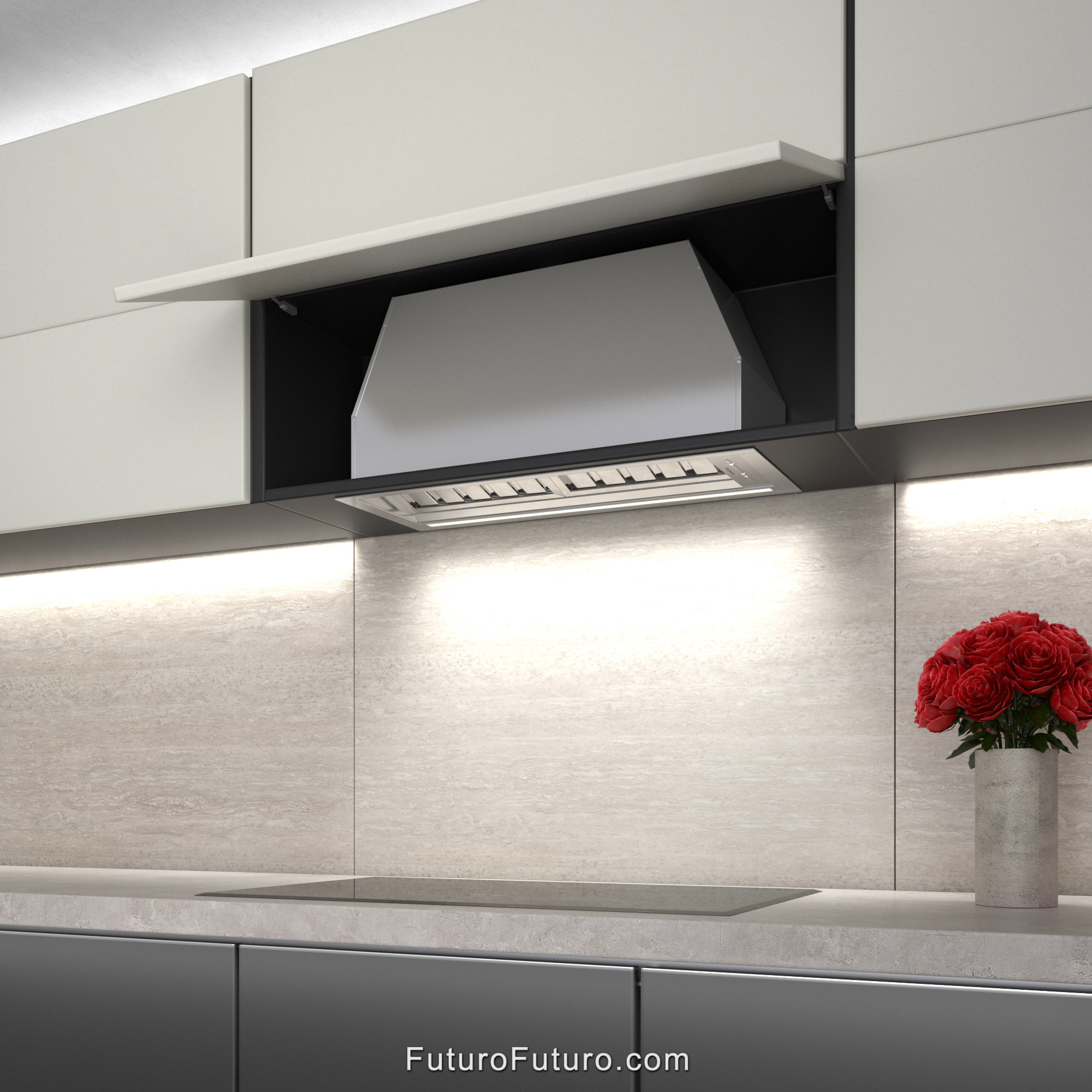 30″ Slide Insert Range Hood WL30SLIDE