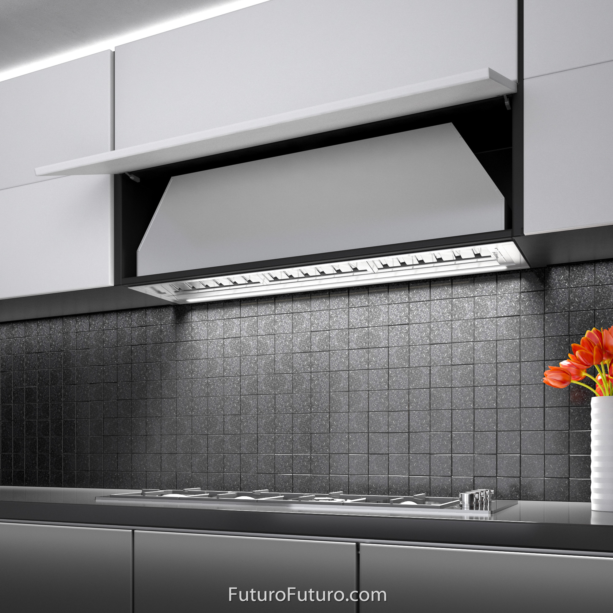 30″ Slide Insert Range Hood WL30SLIDE