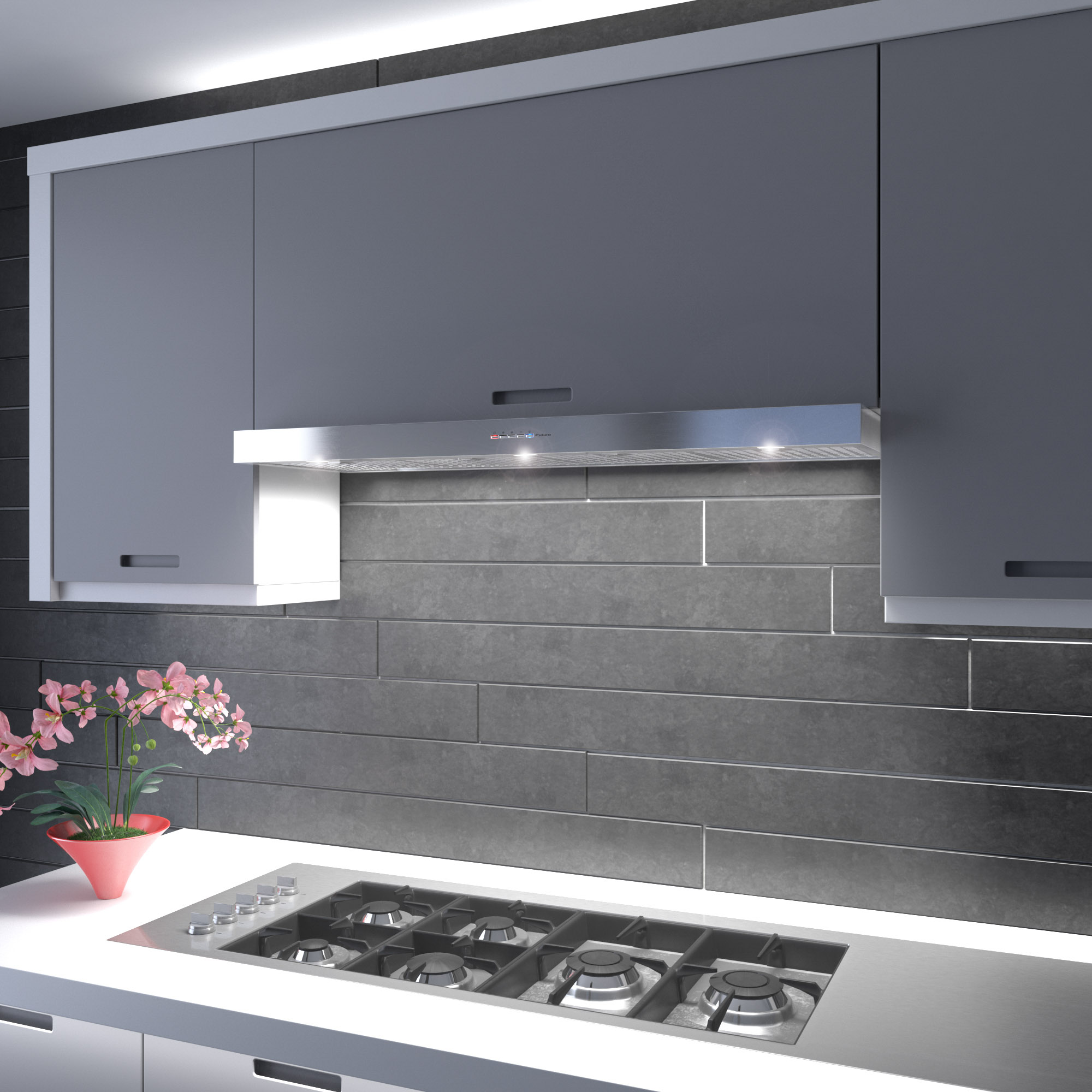 48″ Positano Wall Range Hood WL48POSITANO