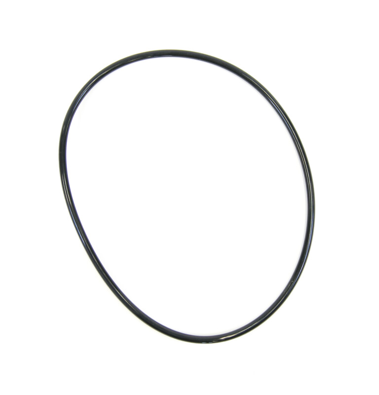 Water filter O-ring WS03X10039, product image 2 of 2