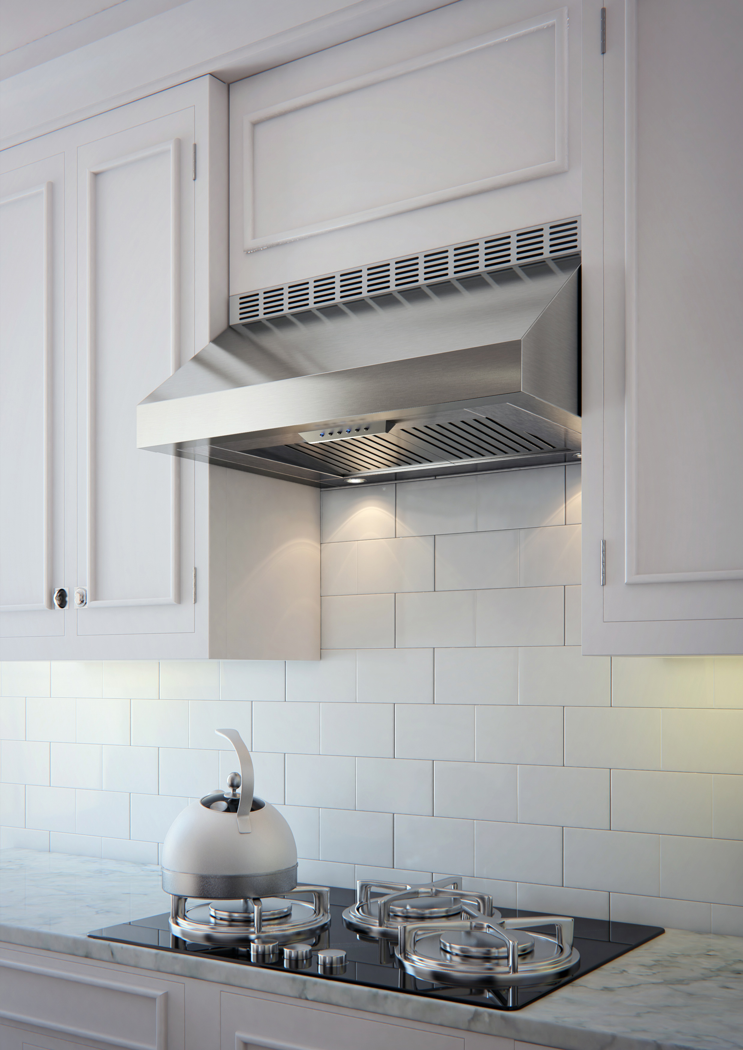 48" 1000 CFM Italian Made Pro Hood Range Hood Stainless view 4