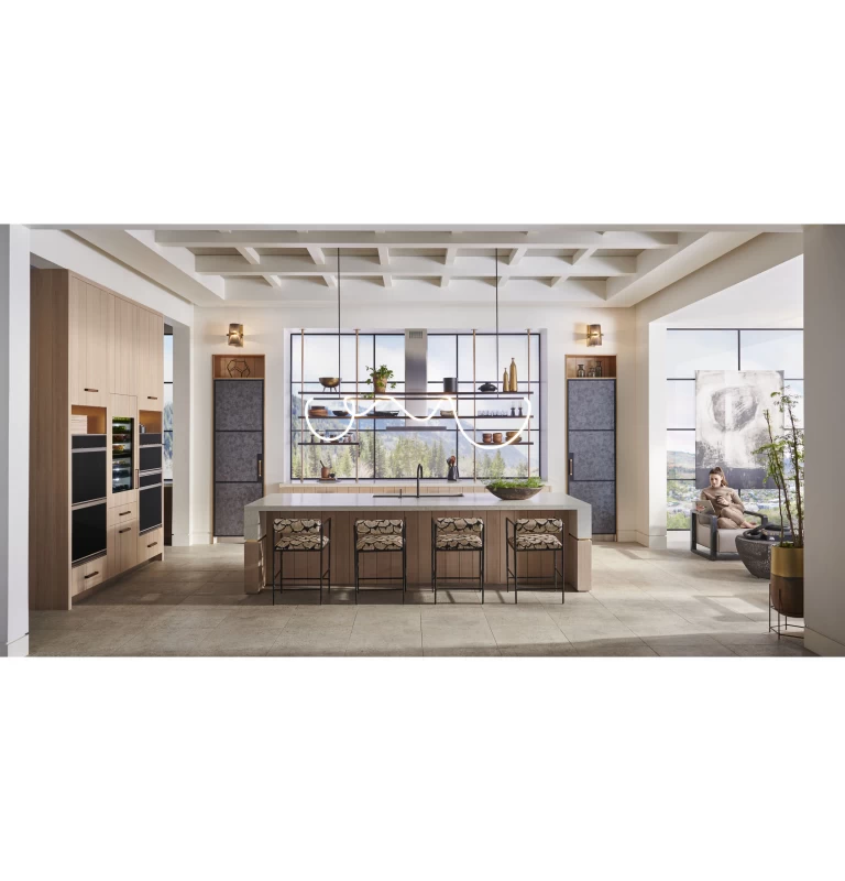 Monogram 30" Minimalist Five-in-One Wall Oven with 240V Advantium® Technology ZSB9231NSS