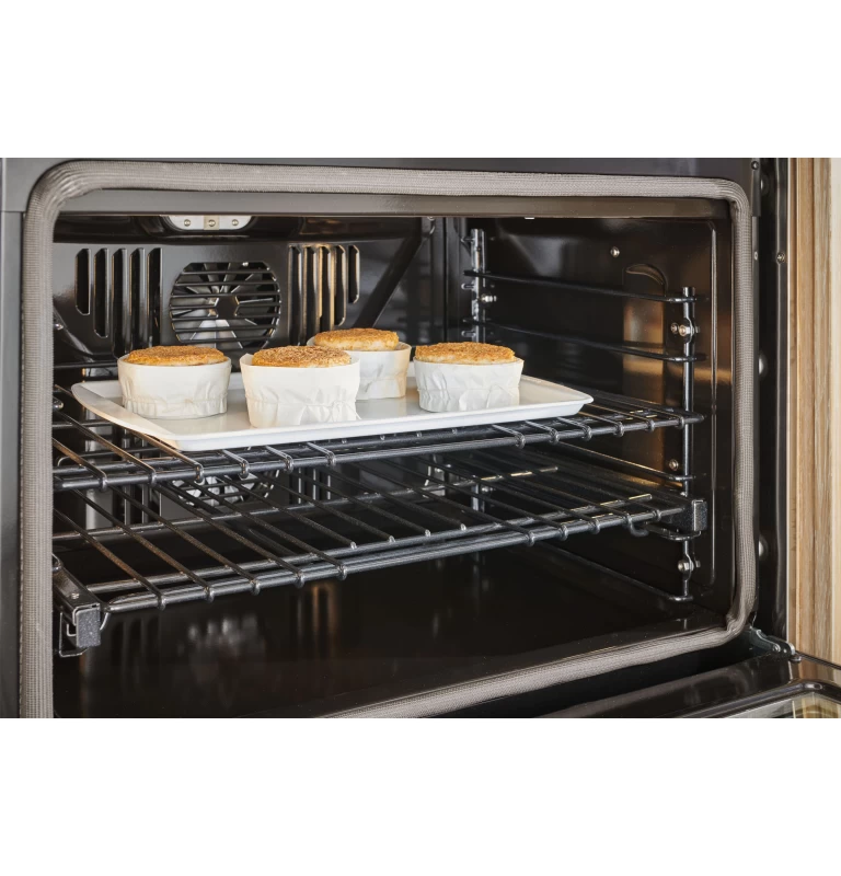 Monogram 30" Statement French-Door Single Wall Oven ZTSX1FPSNSS